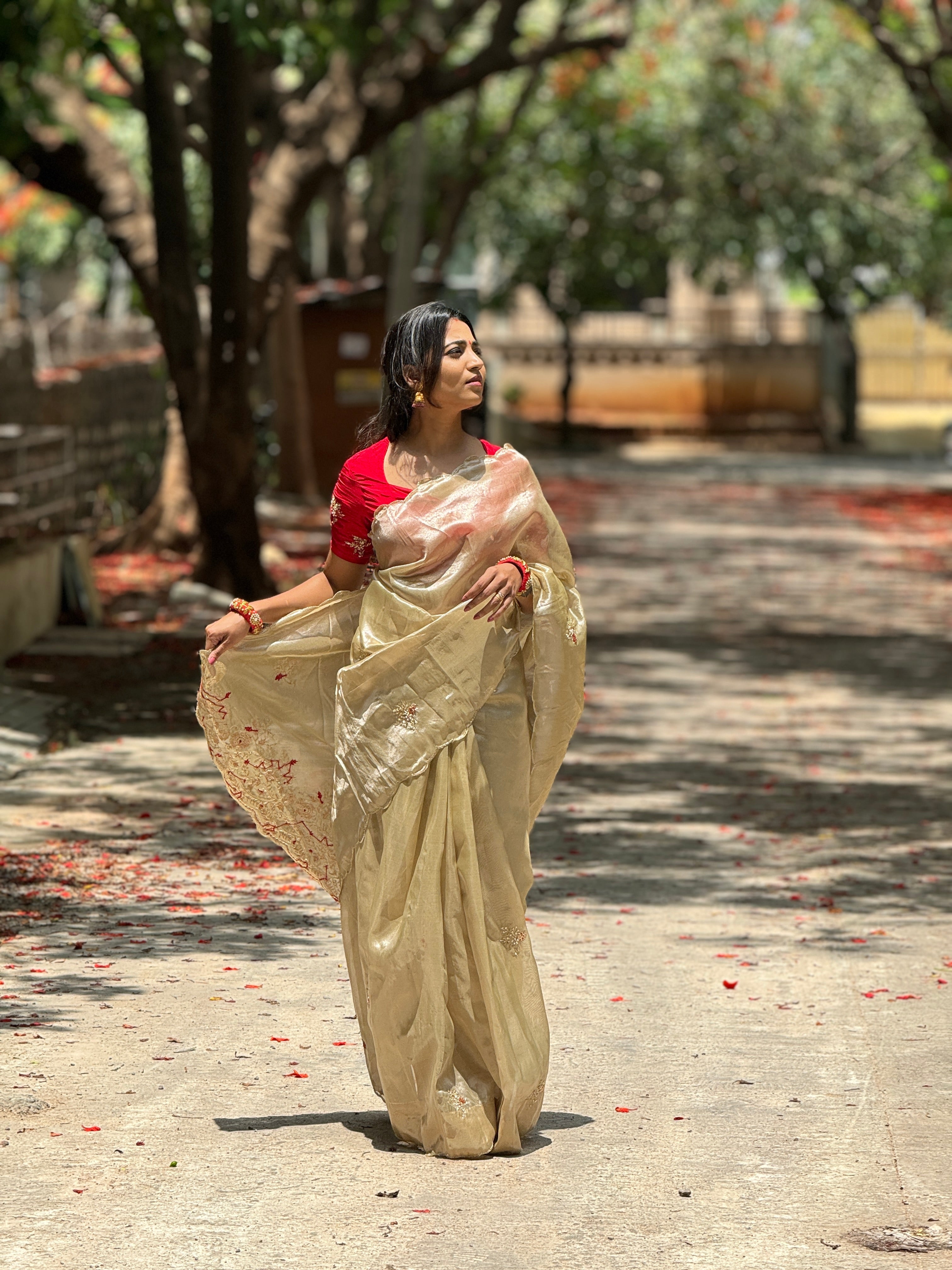 Tissue Silk Saree with Heavy Pallu