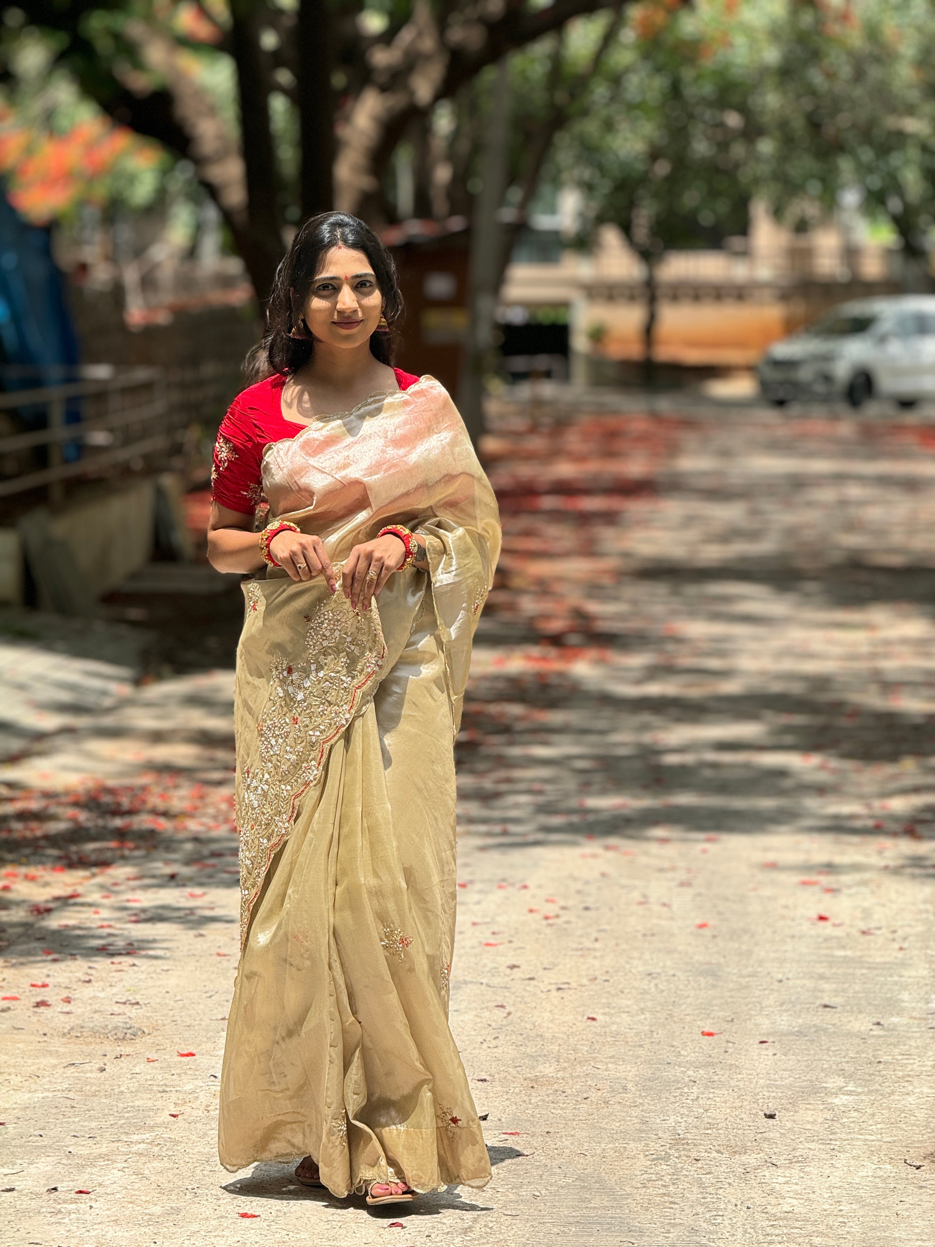Tissue Silk Saree with Heavy Pallu